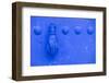 North Africa, Morocco, Traiditoional Moroccan door detail of Chefchaouen.-Emily Wilson-Framed Photographic Print