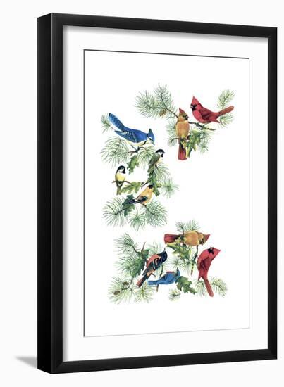 North Am Birds Cutup-null-Framed Giclee Print