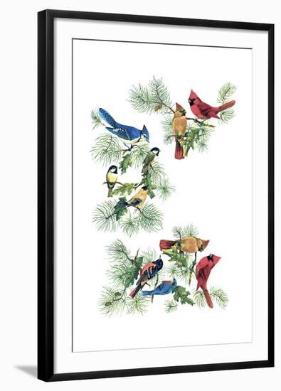 North Am Birds Cutup-null-Framed Giclee Print