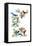 North Am Birds Cutup-null-Framed Stretched Canvas