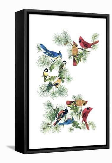 North Am Birds Cutup-null-Framed Stretched Canvas