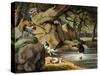 North America Bear Hunt-Samuel Howitt-Stretched Canvas