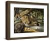 North America Bear Hunt-Samuel Howitt-Framed Giclee Print