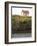 North America, Canada, Nl, House in Town of Trinity-Patrick J. Wall-Framed Premium Photographic Print