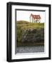 North America, Canada, Nl, House in Town of Trinity-Patrick J. Wall-Framed Premium Photographic Print