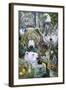 North America's Endangered-Jenny Newland-Framed Giclee Print