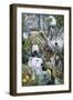 North America's Endangered-Jenny Newland-Framed Premium Giclee Print