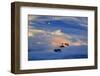 North America, the Usa, Alaska, Kenai of Fjord National Park,-Bernd Rommelt-Framed Photographic Print