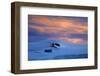 North America, the Usa, Alaska, Kenai of Fjord National Park,-Bernd Rommelt-Framed Photographic Print