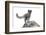 North America, the Usa, Alaska, Polar Fox, Polar Fox,-Bernd Rommelt-Framed Photographic Print