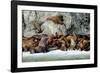 North America, the Usa, Alaska, Stellersche Sea Lions-Bernd Rommelt-Framed Photographic Print