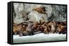 North America, the Usa, Alaska, Stellersche Sea Lions-Bernd Rommelt-Framed Stretched Canvas