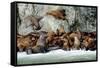 North America, the Usa, Alaska, Stellersche Sea Lions-Bernd Rommelt-Framed Stretched Canvas