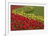 North America, United States, Washington, Mount Vernon, Tulips in Bloom at Annual Skagit Valley Tul-Merrill Images-Framed Photographic Print