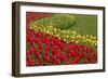 North America, United States, Washington, Mount Vernon, Tulips in Bloom at Annual Skagit Valley Tul-Merrill Images-Framed Photographic Print