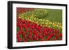 North America, United States, Washington, Mount Vernon, Tulips in Bloom at Annual Skagit Valley Tul-Merrill Images-Framed Photographic Print