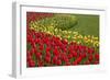 North America, United States, Washington, Mount Vernon, Tulips in Bloom at Annual Skagit Valley Tul-Merrill Images-Framed Photographic Print