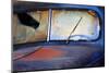 North America, USA, Georgia, Windshield of an Old Rusty Truck-Joanne Wells-Mounted Photographic Print