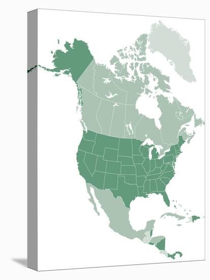 North America Vector Map-Refe-Stretched Canvas