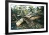 North American Beaver Gnawing on Branch to Make a Dam-null-Framed Photographic Print