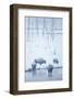 North American Bison (Bison bison) four adults, Yellowstone-Mark Sisson-Framed Photographic Print