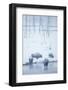 North American Bison (Bison bison) four adults, Yellowstone-Mark Sisson-Framed Photographic Print