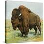 North American Bison on the Great Plains-null-Stretched Canvas