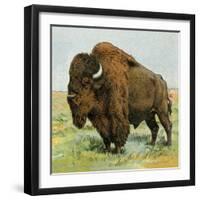 North American Bison on the Great Plains-null-Framed Giclee Print