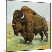 North American Bison on the Great Plains-null-Mounted Giclee Print