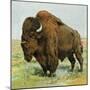 North American Bison on the Great Plains-null-Mounted Giclee Print