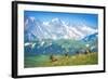 North American Elks-duallogic-Framed Photographic Print