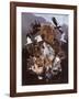 North American Endangered Wildlife-null-Framed Art Print