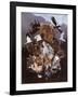 North American Endangered Wildlife-null-Framed Art Print