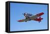 North American Harvard, or T-6 Texan, or SNJ, War Plane-David Wall-Framed Stretched Canvas