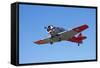 North American Harvard, or T-6 Texan, or SNJ, War Plane-David Wall-Framed Stretched Canvas