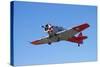 North American Harvard, or T-6 Texan, or SNJ, War Plane-David Wall-Stretched Canvas