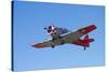 North American Harvard, or T-6 Texan, or SNJ, War Plane-David Wall-Stretched Canvas