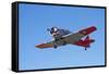 North American Harvard, or T-6 Texan, or SNJ, War Plane-David Wall-Framed Stretched Canvas