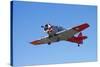 North American Harvard, or T-6 Texan, or SNJ, War Plane-David Wall-Stretched Canvas