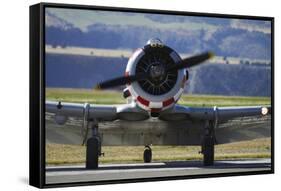 North American Harvard, or T-6 Texan, or SNJ, War Plane-David Wall-Framed Stretched Canvas