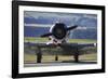 North American Harvard, or T-6 Texan, or SNJ, War Plane-David Wall-Framed Photographic Print