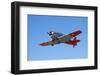 North American Harvard, or T-6 Texan, or SNJ, War Plane-David Wall-Framed Photographic Print