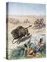 North American Indians Hunting Buffalo, C1870-null-Stretched Canvas