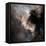 North American Nebula-Stocktrek Images-Framed Stretched Canvas