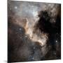 North American Nebula-Stocktrek Images-Mounted Photographic Print