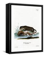 North American Otter-null-Framed Stretched Canvas