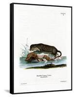 North American Otter-null-Framed Stretched Canvas