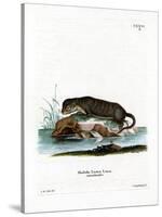 North American Otter-null-Stretched Canvas