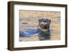 North American river otter, Acadia National Park, Maine, USA-George Sanker-Framed Photographic Print