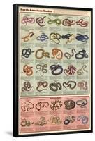 North American Snakes Educational Science Chart Poster-null-Framed Poster